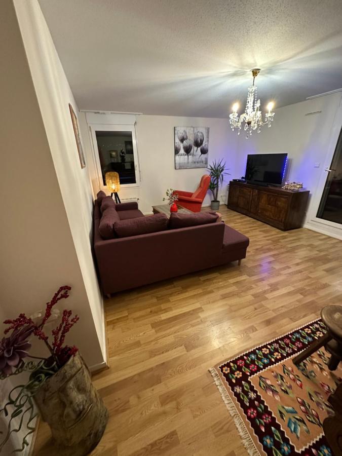 Ave De La Vaite Apartment เบอซองซง ภายนอก รูปภาพ